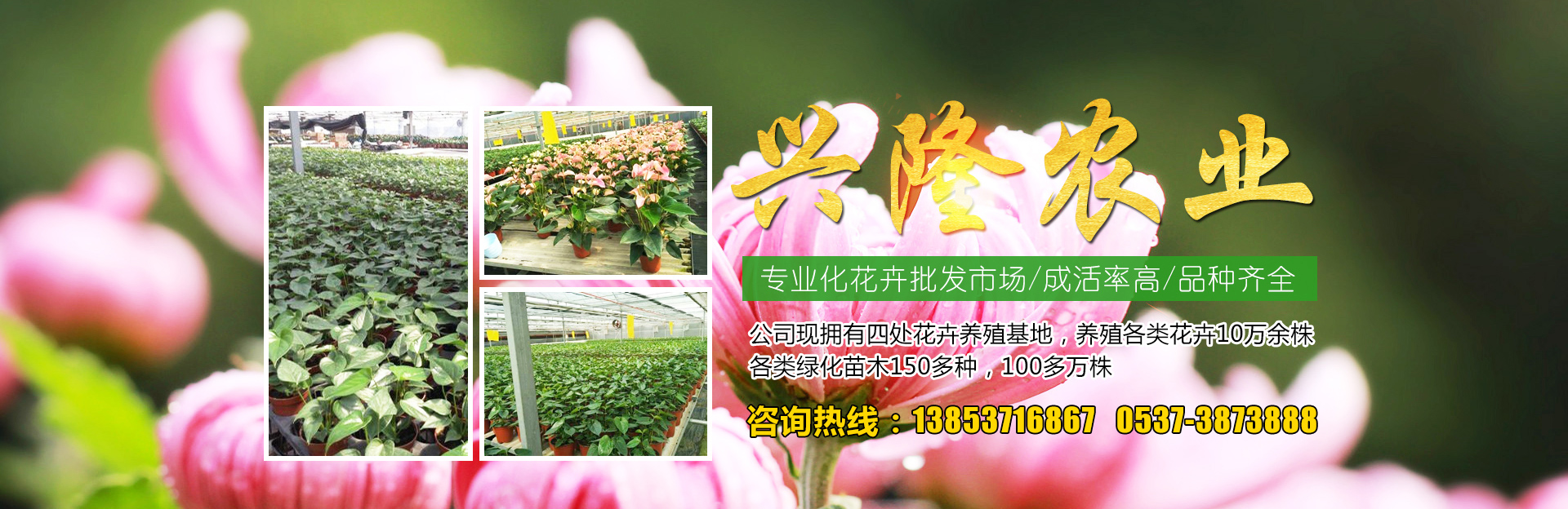 山东卡尔普工程机械有限公司